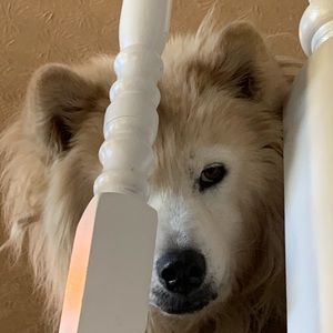 Meet your Posher, Zachary